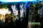 【純玩拼團(tuán)線路6】張家界、黃龍洞、天門山、天子山三晚四日游